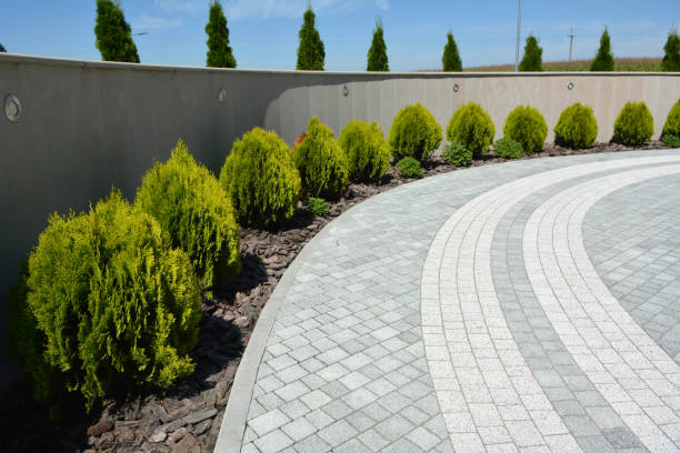 Best Affordable Driveway Paving  in Zanesville, OH